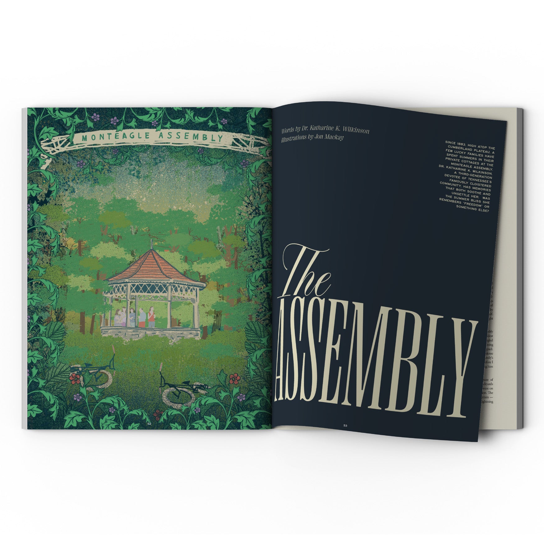 The Annual Subscription (Three Print Issues)