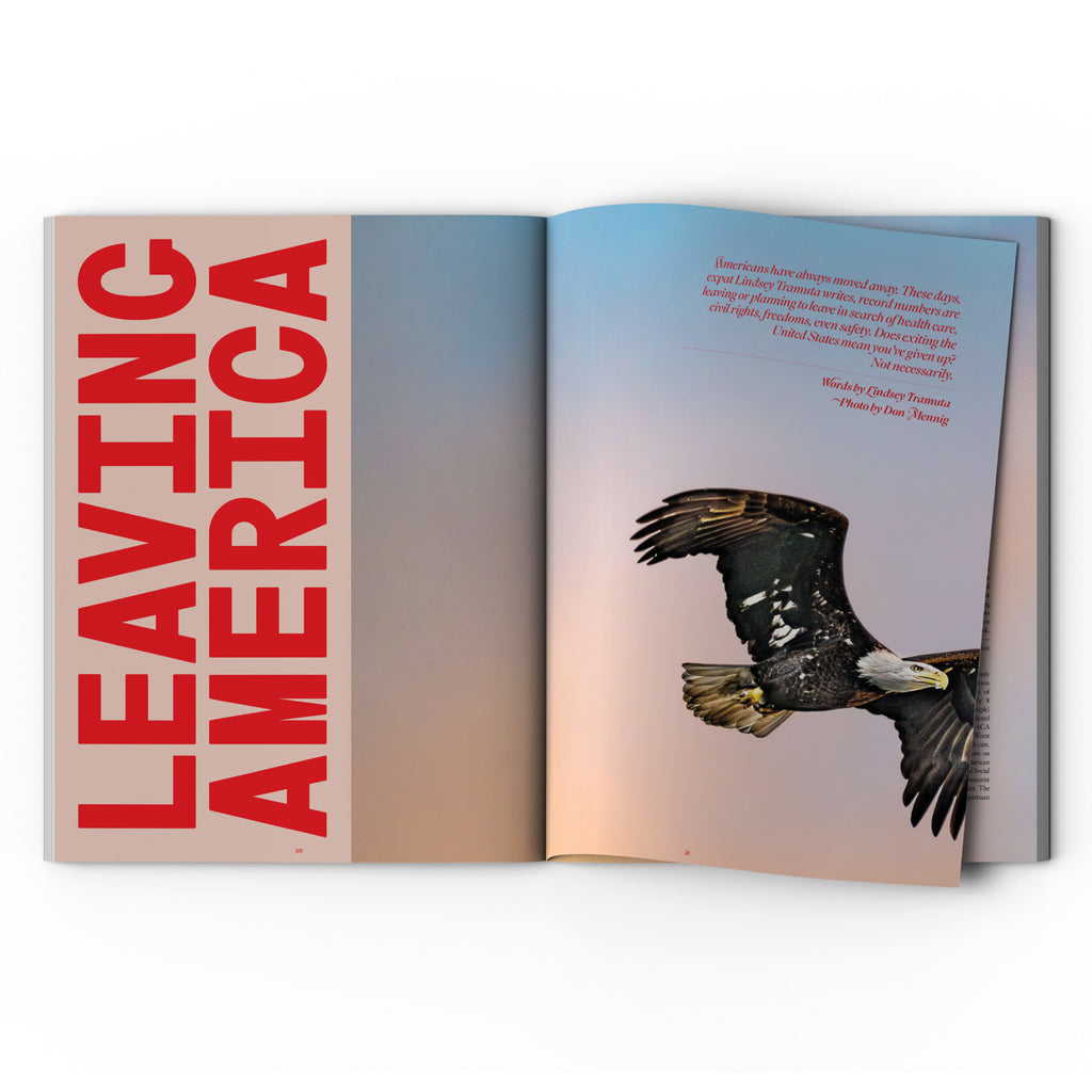 The Annual Subscription (Three Print Issues)