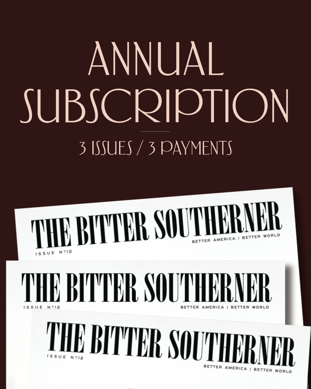 The Annual Subscription (3 Print Issues+3 payments)