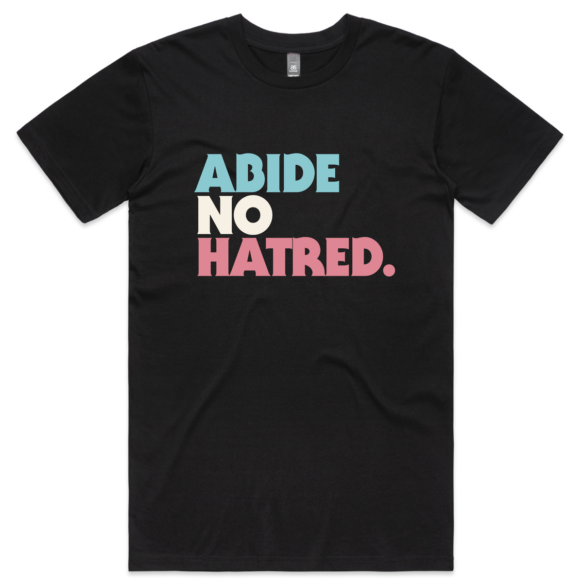 Abide No Hatred T-shirt – Ally Edition