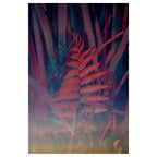 Trembling Earth: A Transcendental Trip Through the Okefenokee