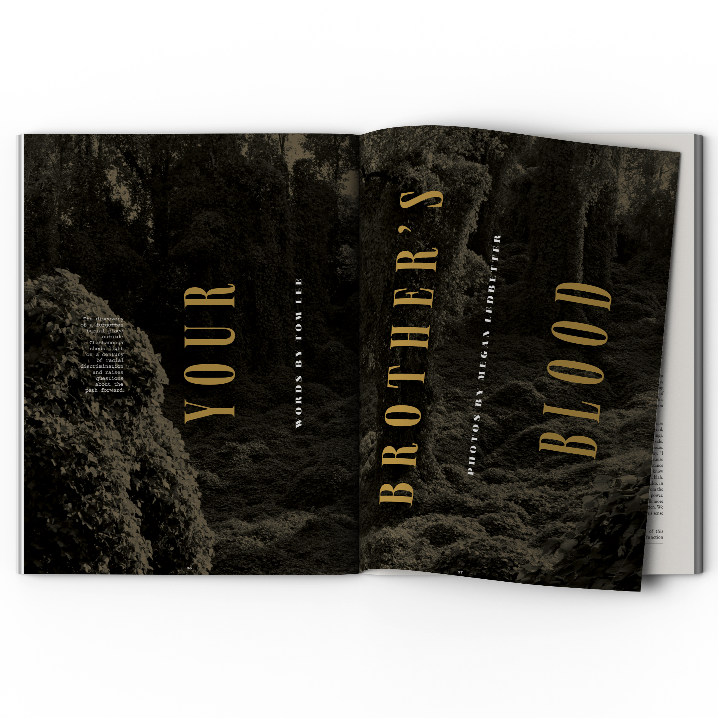 BS Magazine – Issue No. 10