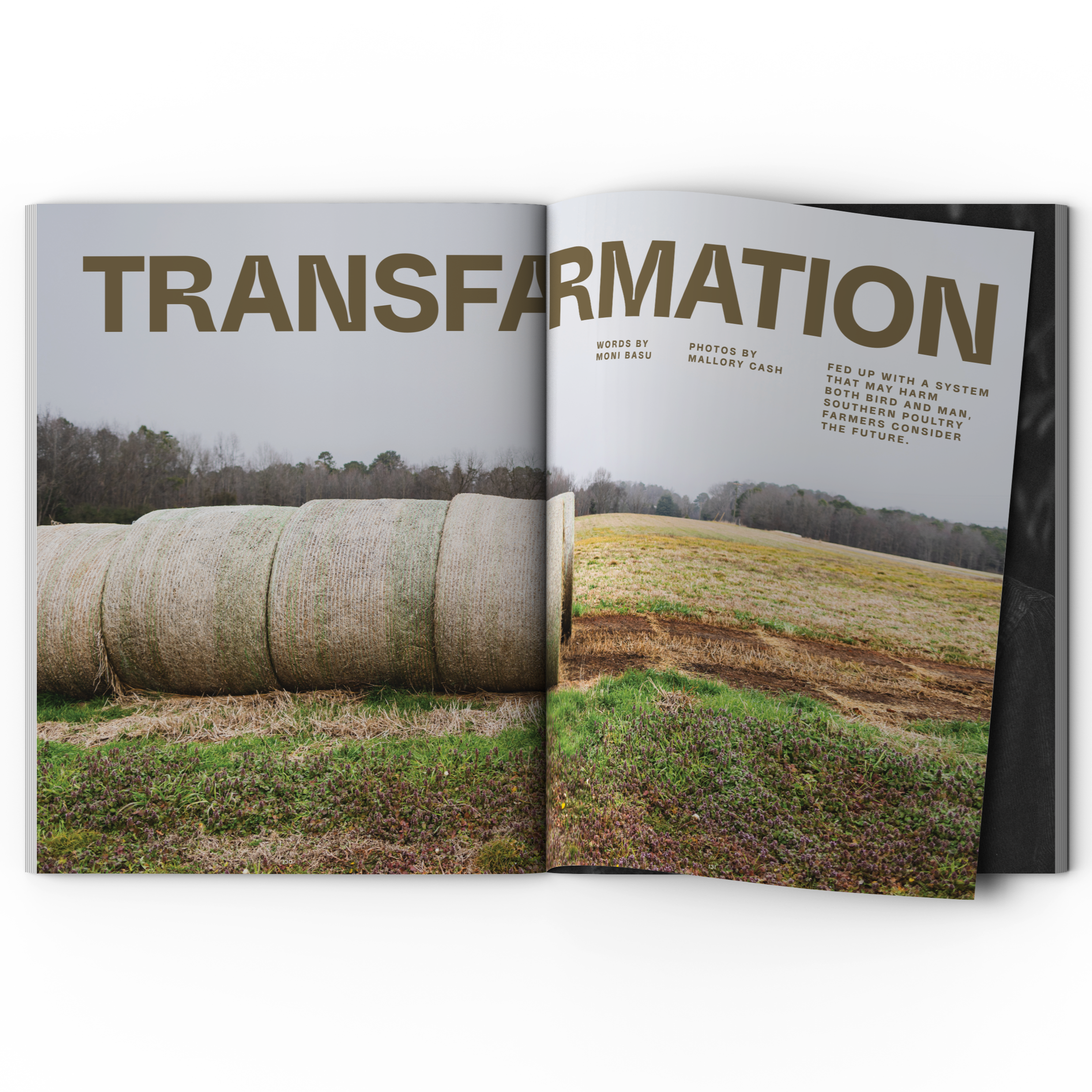 BS Magazine – Issue No. 10