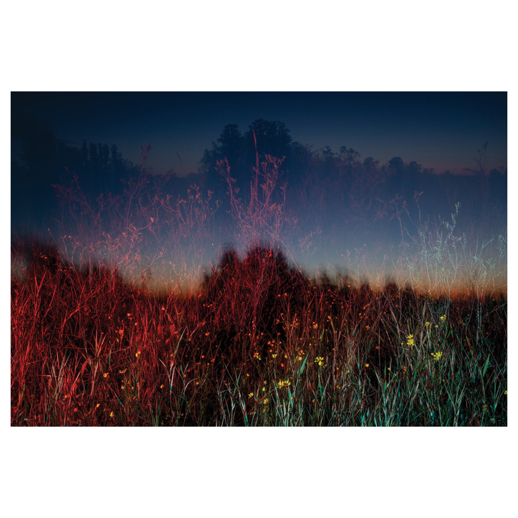 Trembling Earth: A Transcendental Trip Through the Okefenokee