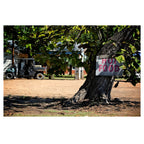 Thank You Please Come Again: How Gas Stations Feed & Fuel the American South