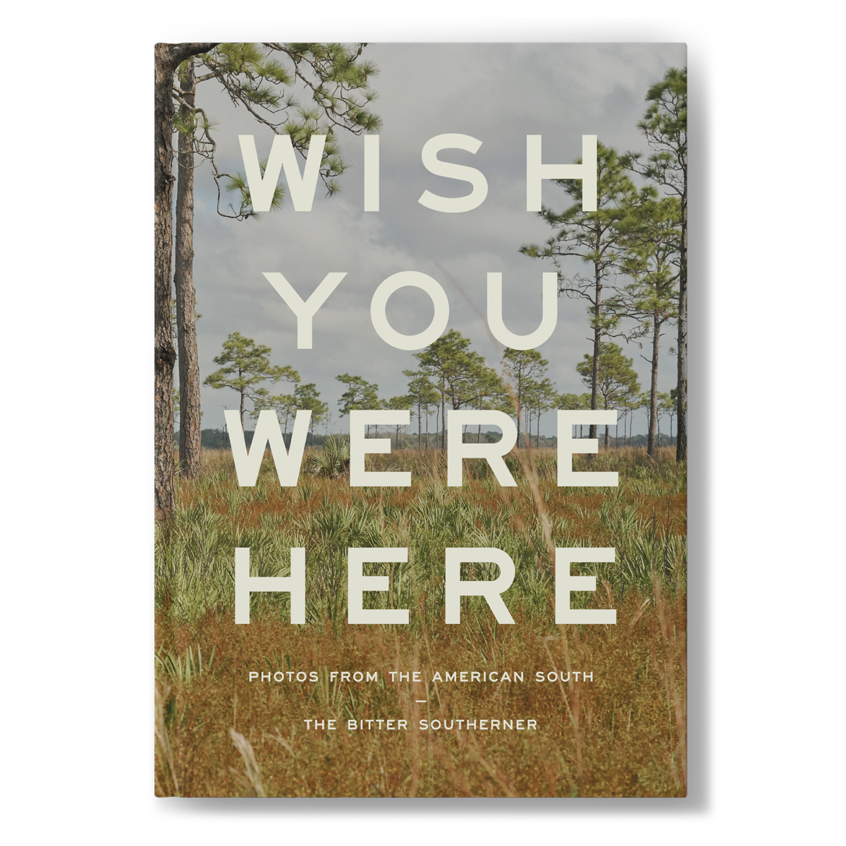 Wish You Were Here - Photos From the American South
