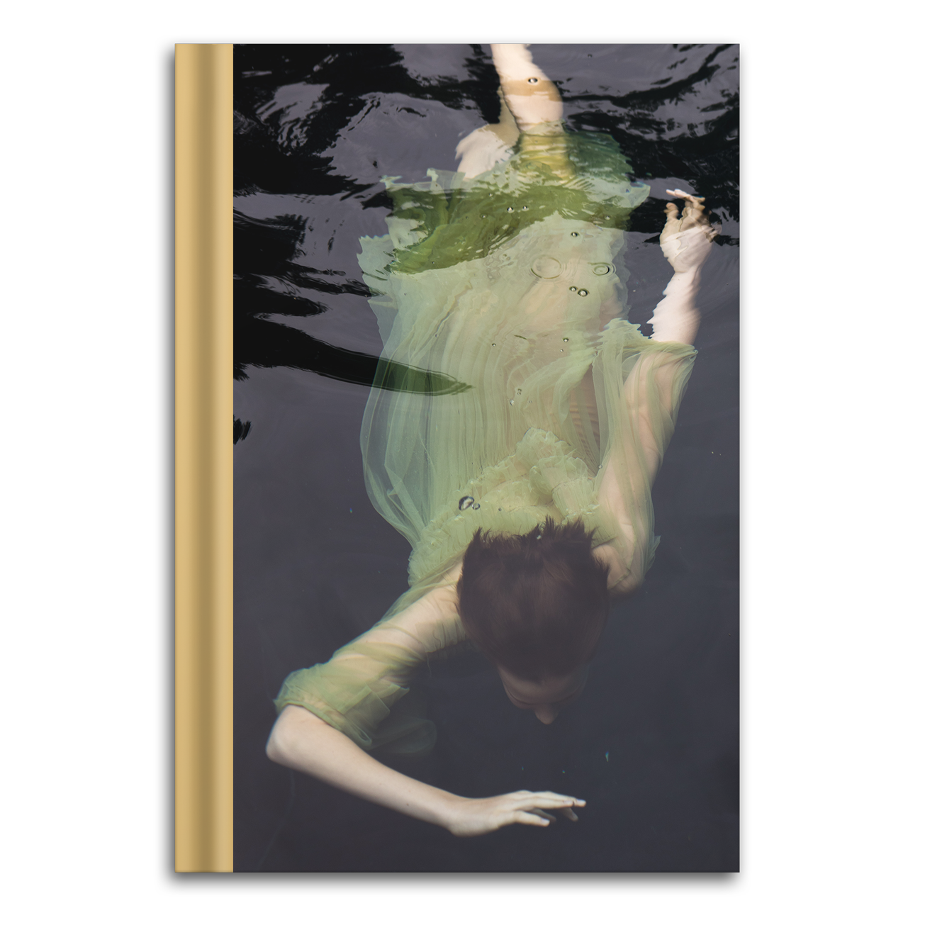 Familiar by Christy Bush / Foreword by Michael Stipe