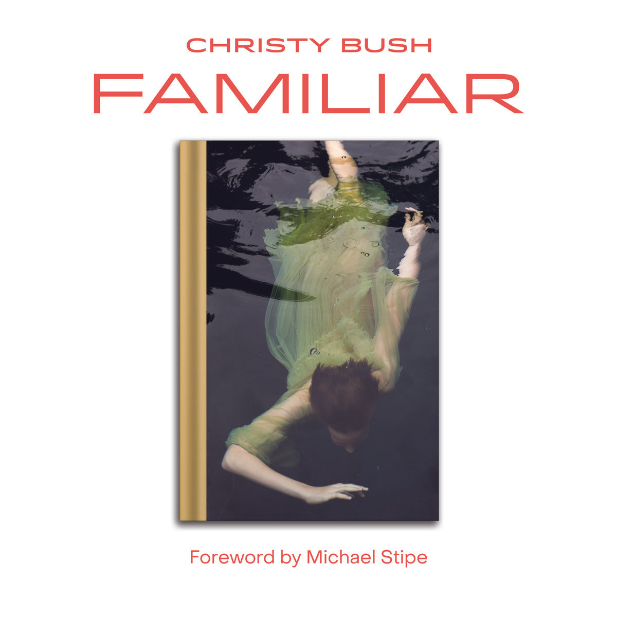 Familiar by Christy Bush / Foreword by Michael Stipe